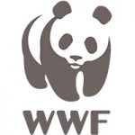WWF logo | PopUp WiFi - Temporary Event WiFi