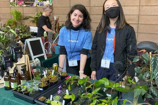 Livestream Wi-Fi | Orchids in the Park 2024 | San Francisco